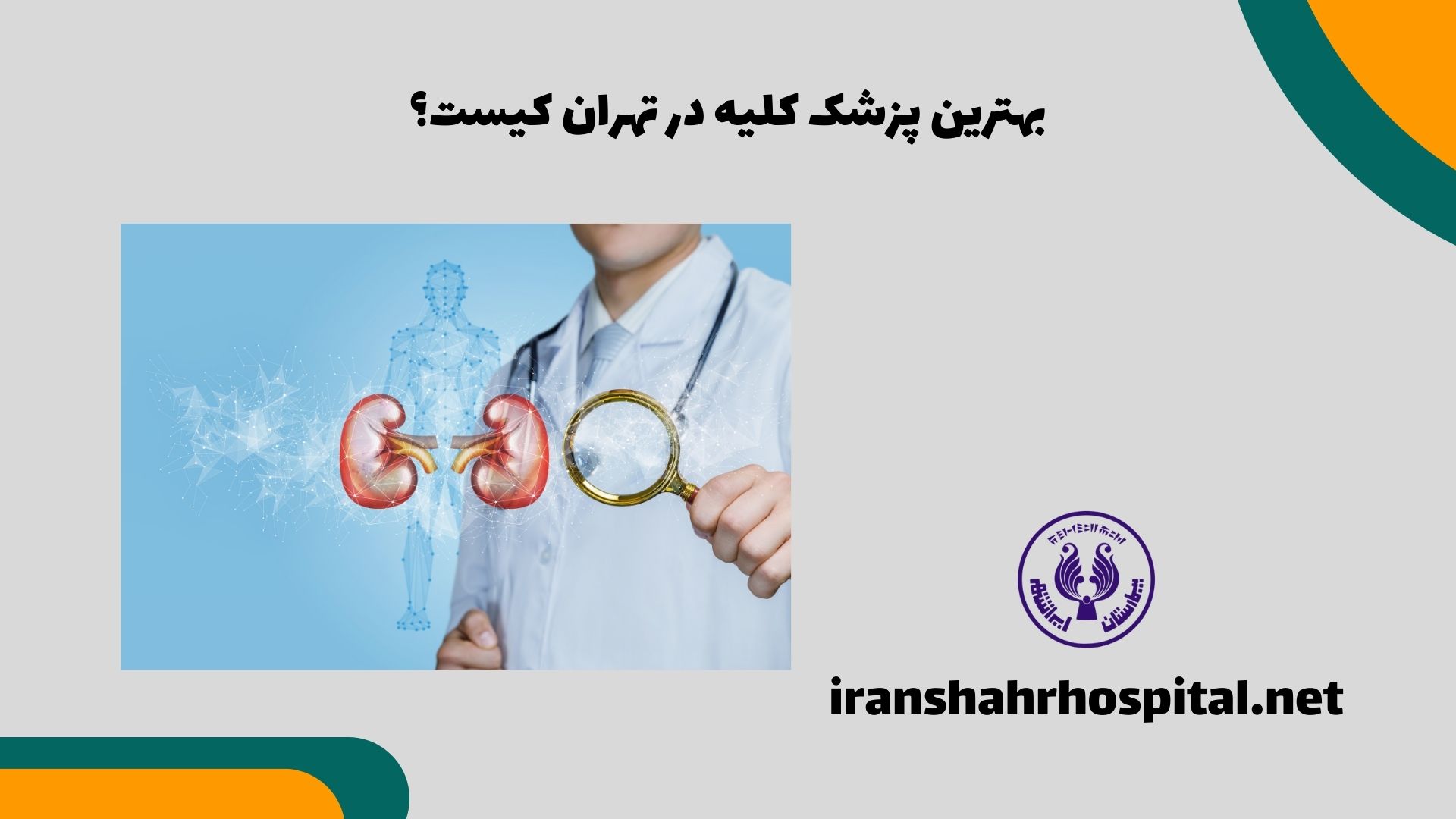 بهترین پزشک کلیه در تهران کیست؟
