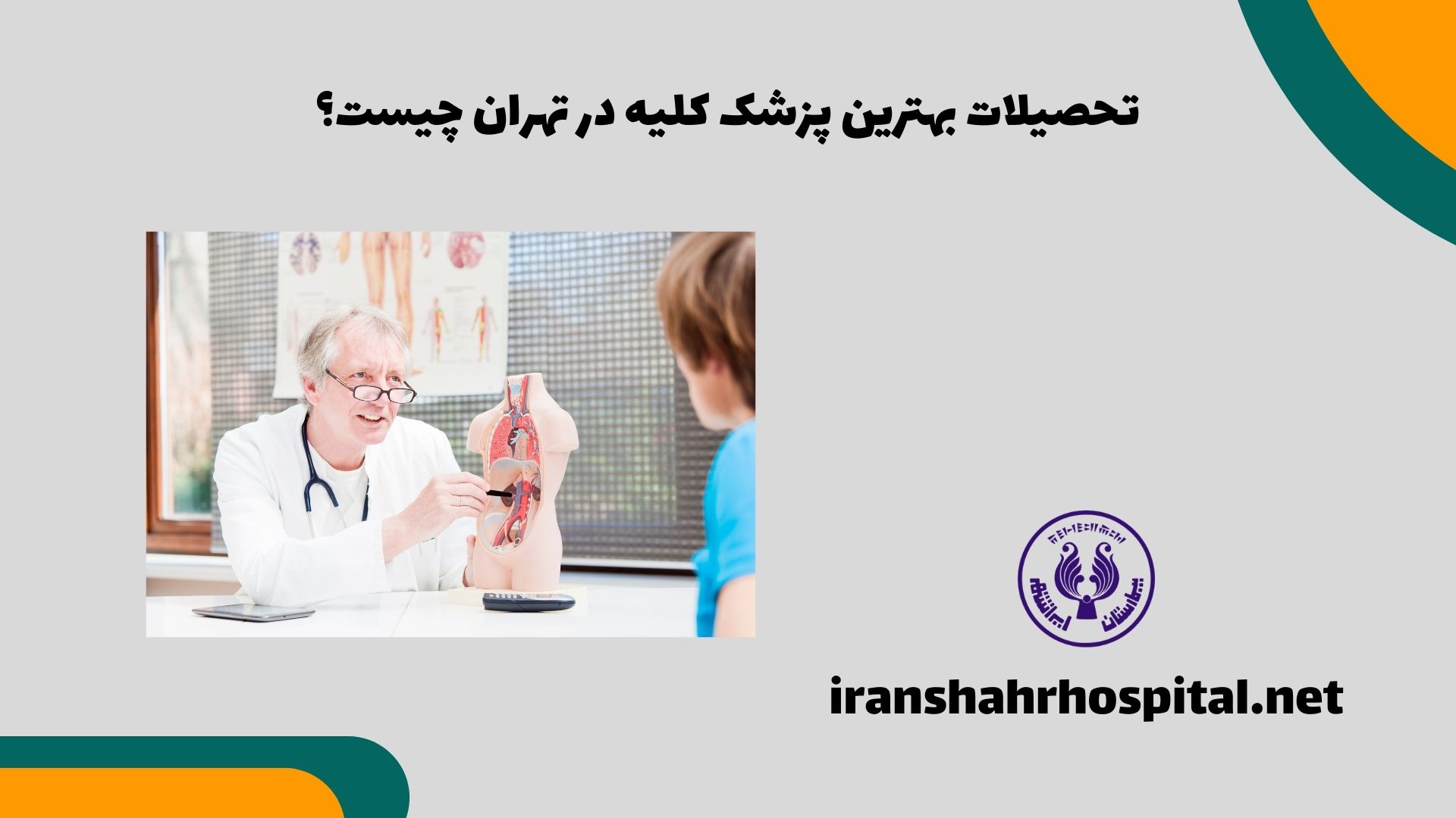 تحصیلات بهترین پزشک کلیه در تهران چیست؟